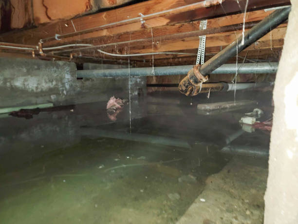 Best Flood restoration services  in Robertsville, NJ