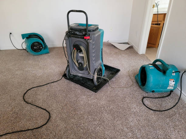Best Flood damage cleanup  in Robertsville, NJ