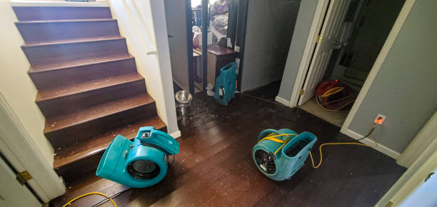Best Commercial water damage restoration  in Robertsville, NJ