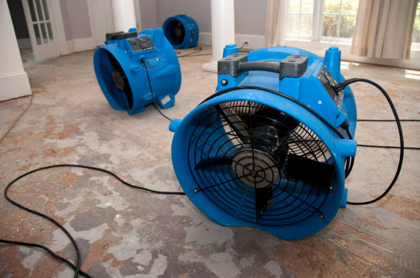 Best Water damage restoration near me  in Robertsville, NJ