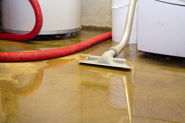 Best Basement water damage restoration  in Robertsville, NJ