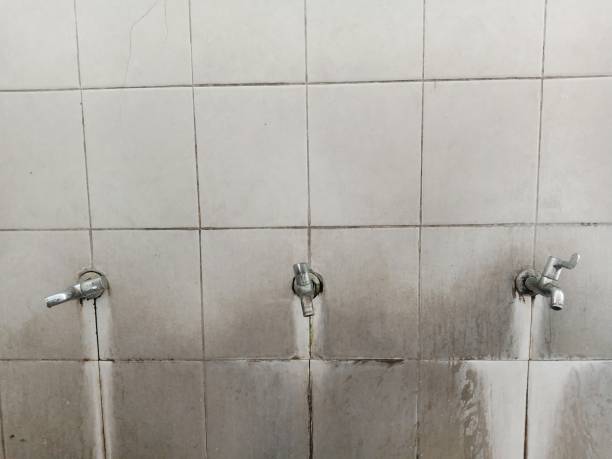 Best Residential water damage restoration  in Robertsville, NJ