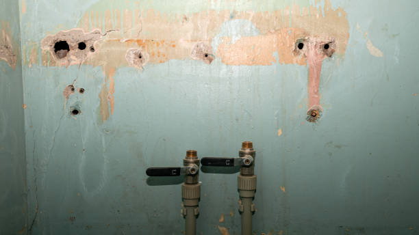 Best Water damage restoration near me  in Robertsville, NJ
