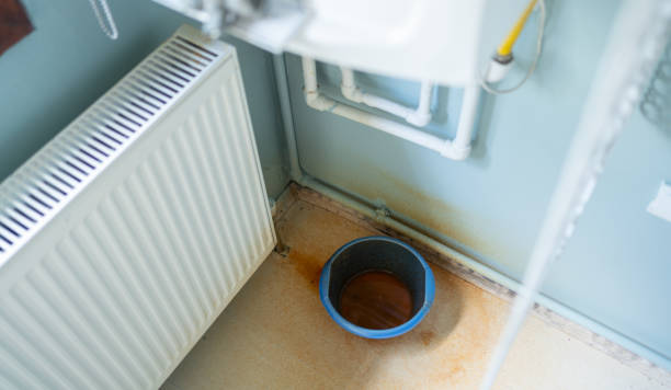 Best Basement water damage restoration  in Robertsville, NJ