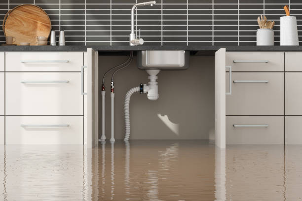 Best Local water damage restoration  in Robertsville, NJ