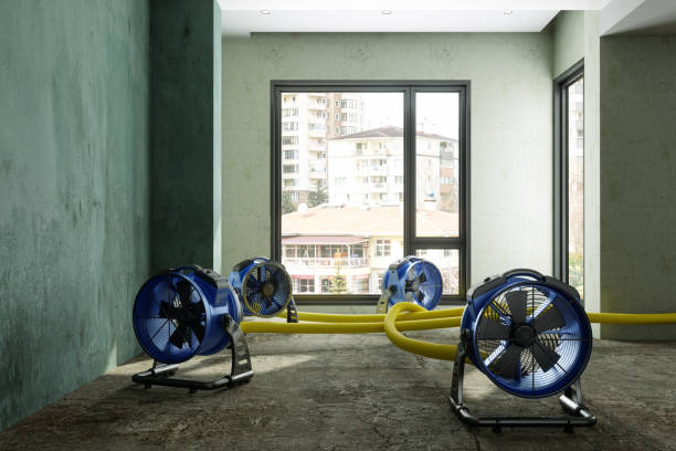 Best Fire Damage Restoration  in Robertsville, NJ